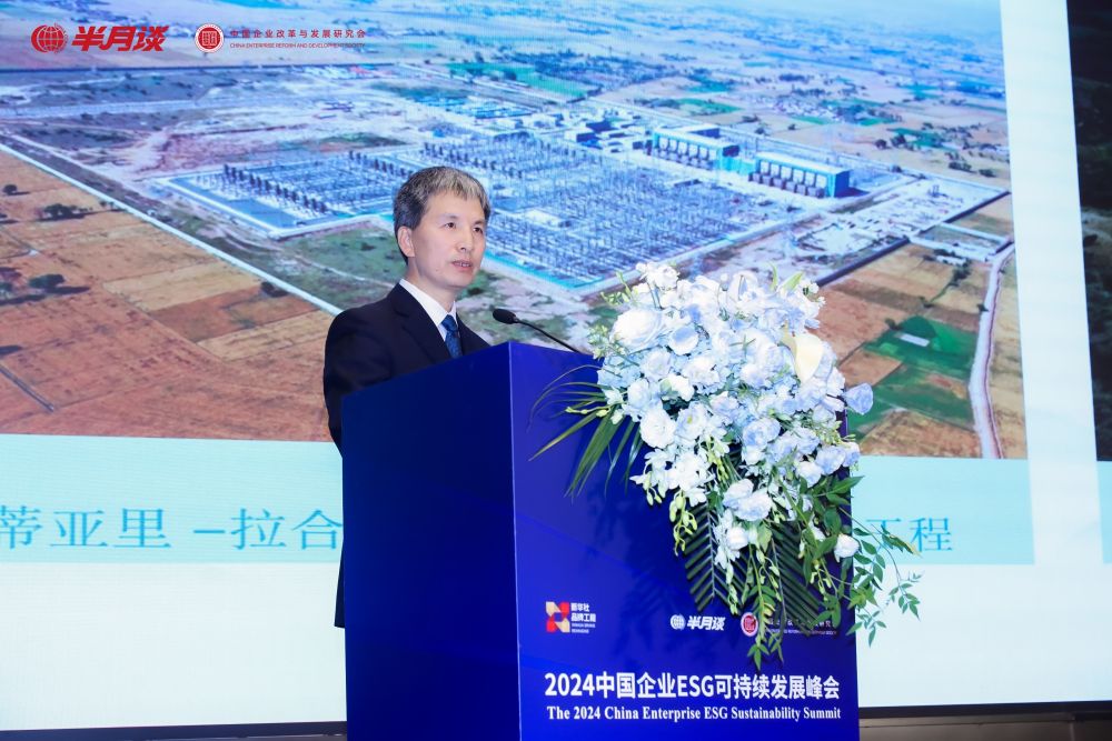 张会平：助力实现能源电力清洁低碳转型“电亮美好世界”