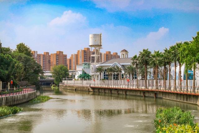 徐汇：河畅、水清、景美五年治水绘就“生态美”(图11)