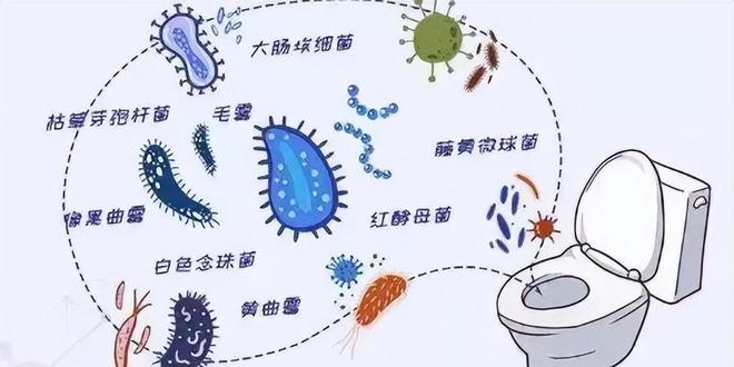 保洁员坦言：酒店这4样“脏”东西尽量别给孩子用家长记下来(图3)