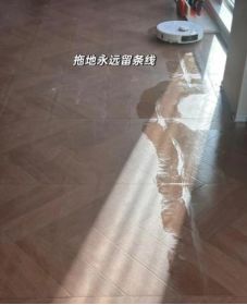 扫地机器人是“智商税”吗(图5)