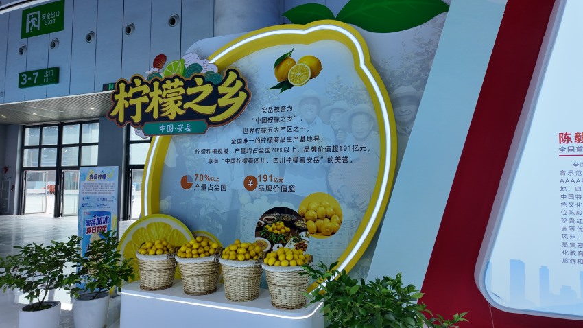 聚焦第二十届西博会地铁上的创业城市资阳“轨道新城”智汇成渝双圈新动能(图3)