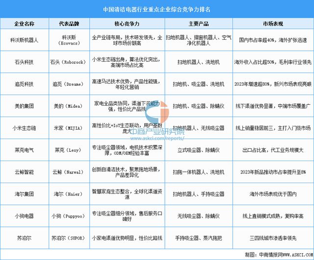 2025年中国清洁电器行业市场前景预测研究报告(图9)