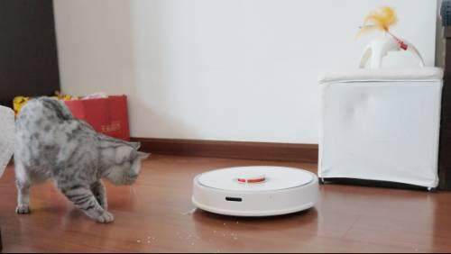 创始人套现9亿后退网“扫地茅”转战港股求活？(图2)