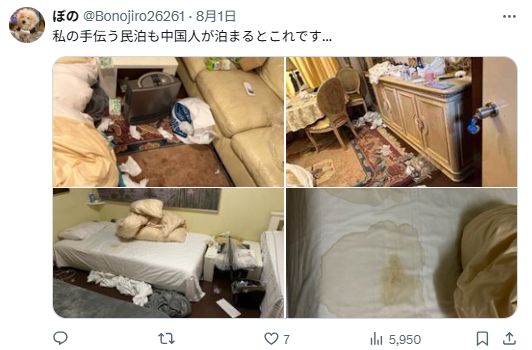 “又是中国游客”？这次日本民宿房东真的忍不了了(图7)