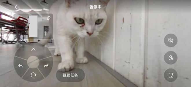 「贴地飞行」：大疆ROMO扫地机器人首发体验(图11)