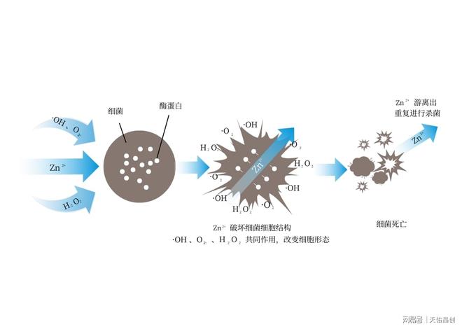 从清洁到健康：扫地机器人的抗菌进化之路(图6)