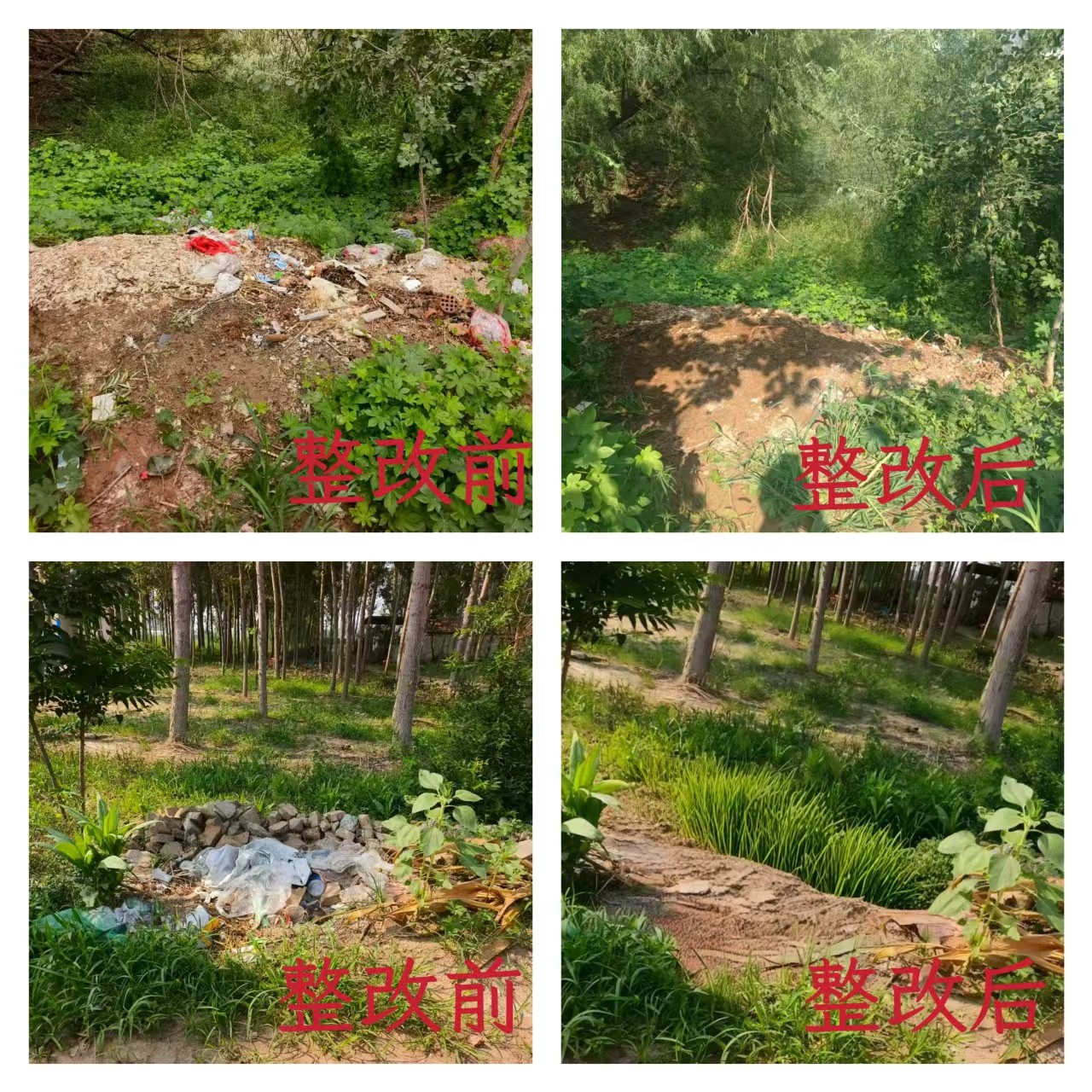 持续改善人居环境全面提升城市品质——商河县“五边”垃圾清理专项行动见成效(图8)