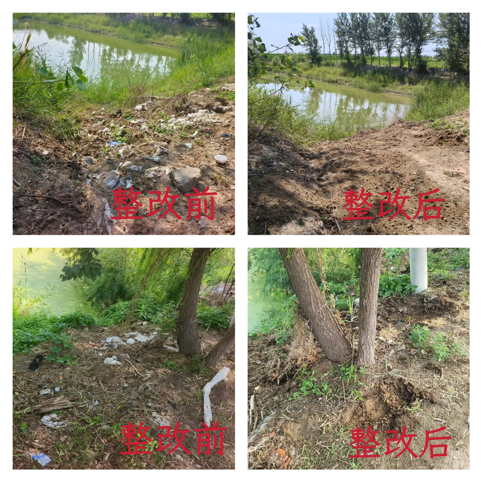 持续改善人居环境全面提升城市品质——商河县“五边”垃圾清理专项行动见成效(图12)