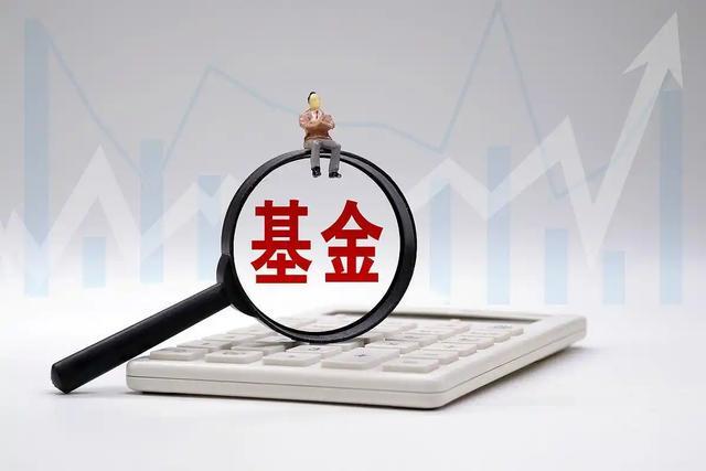 扫地机巨头跨界超跑：俞浩的生死赌局拖政府员工一起扛？(图8)