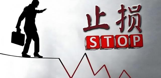 扫地机巨头跨界超跑：俞浩的生死赌局拖政府员工一起扛？(图5)