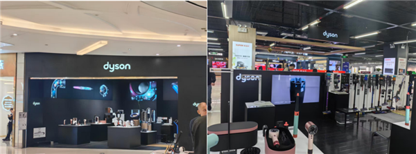 22年神话终破灭！戴森营收首次下滑缺席双11榜单(图3)