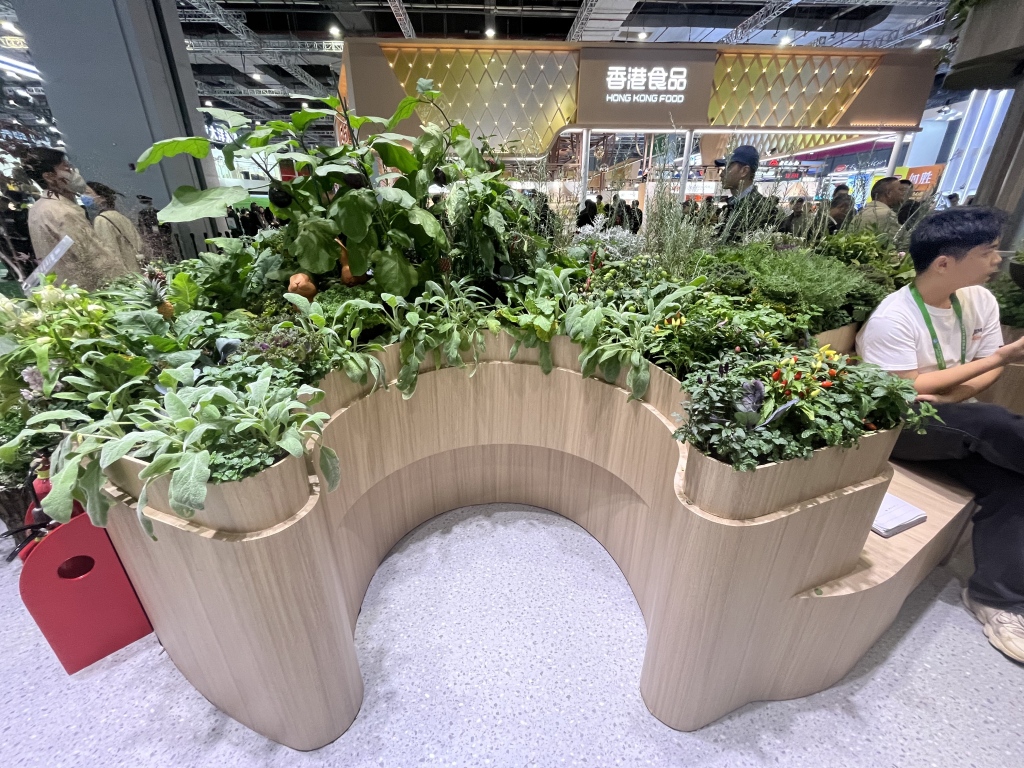 何为进博｜消费新图景正从四叶草“溢出”(图3)