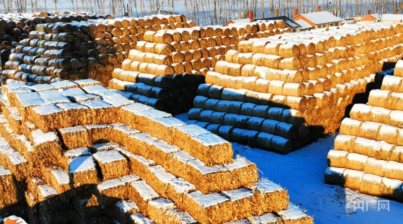 关键词读懂“十五五”黑龙江：发展清洁供暖体系赋能和美乡村建设(图3)