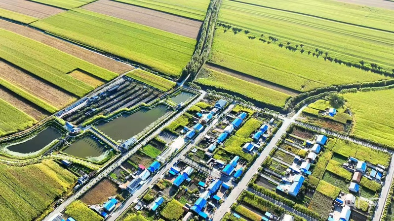 关键词读懂“十五五”黑龙江：发展清洁供暖体系赋能和美乡村建设(图6)