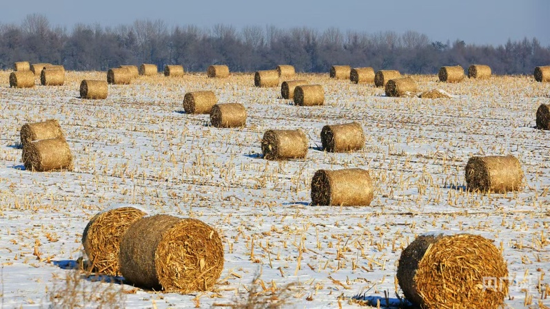 关键词读懂“十五五”黑龙江：发展清洁供暖体系赋能和美乡村建设(图5)