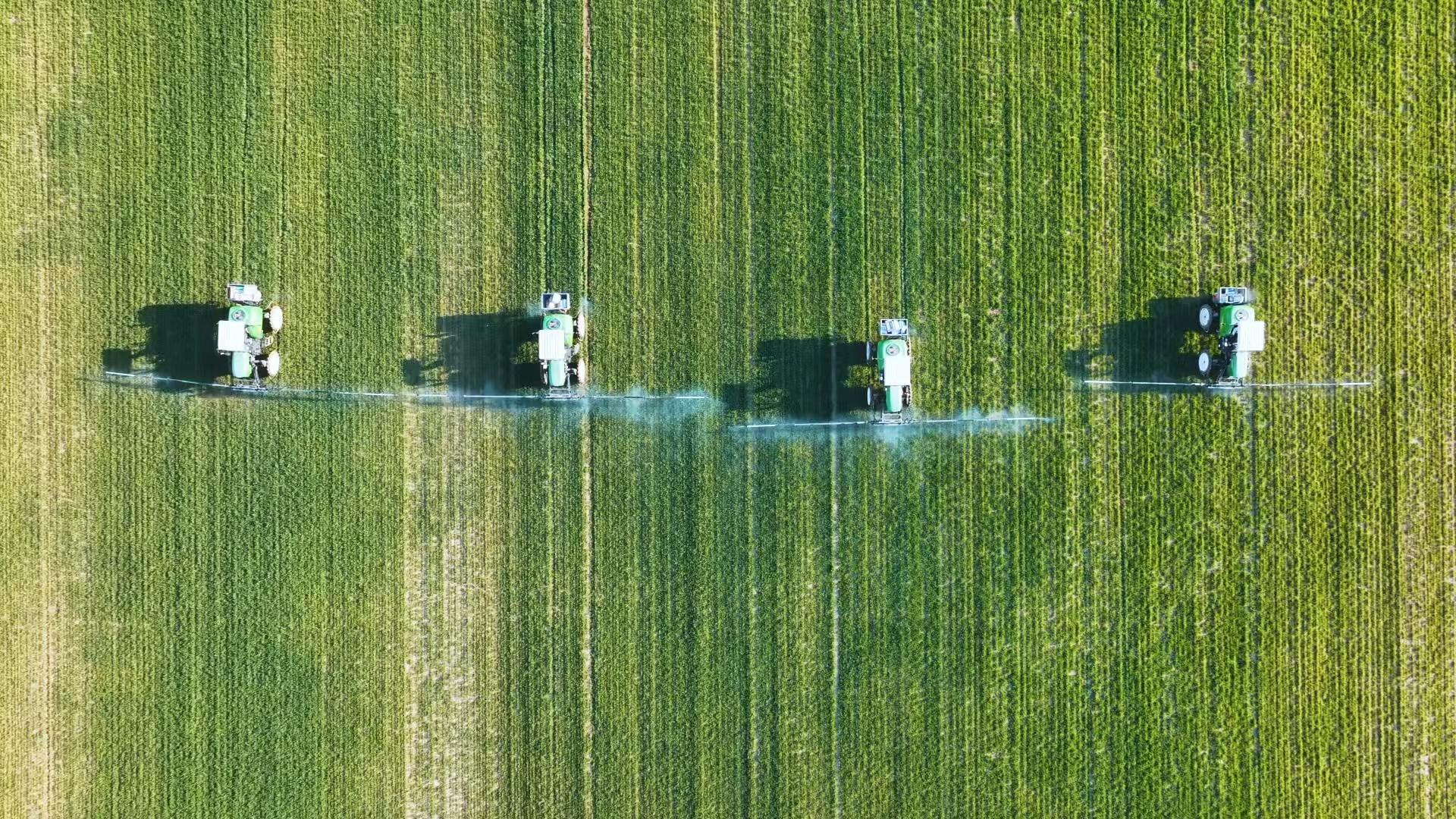 河北三河：农业农村高质量发展交出亮眼答卷