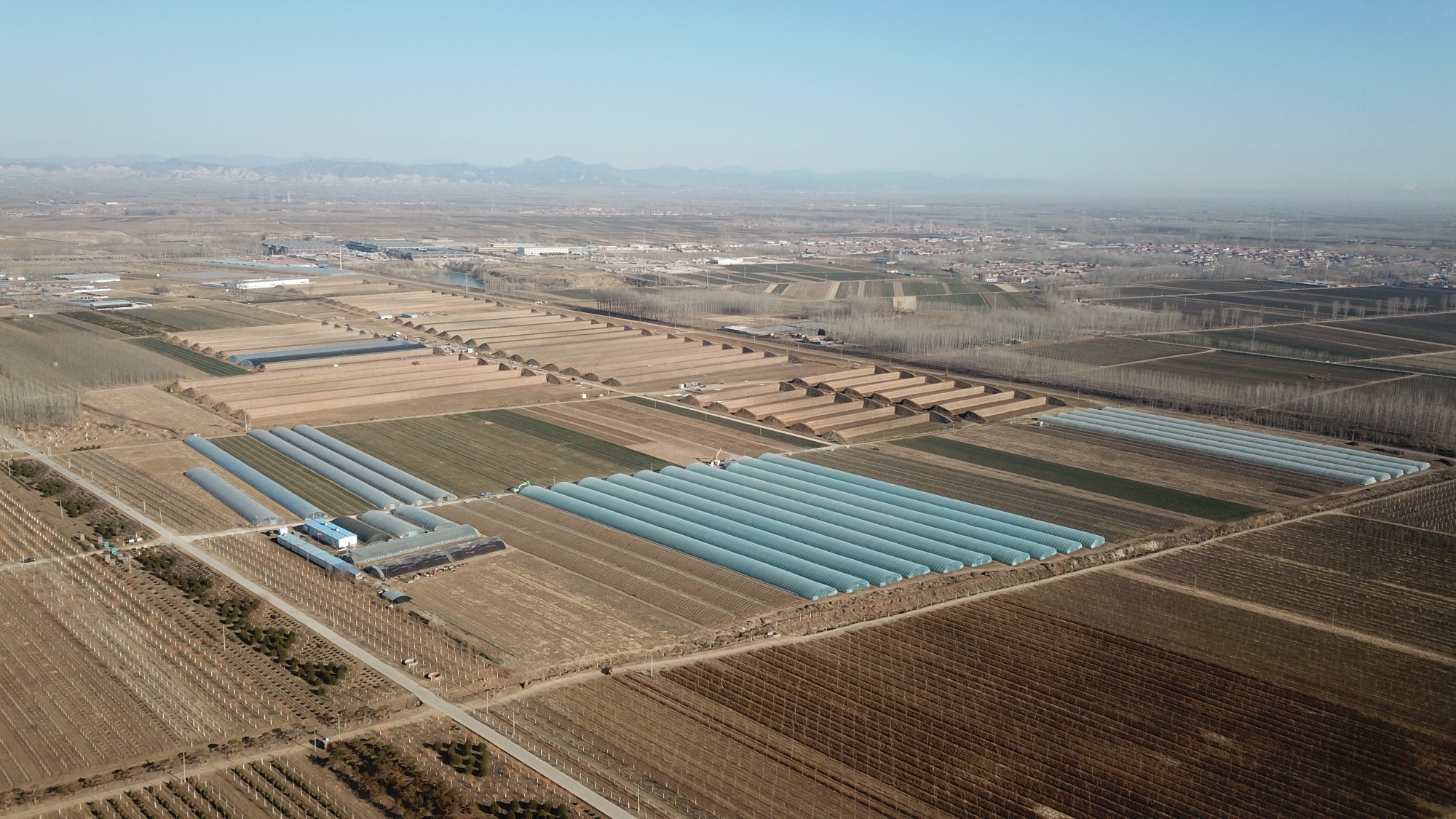 河北三河：农业农村高质量发展交出亮眼答卷(图2)