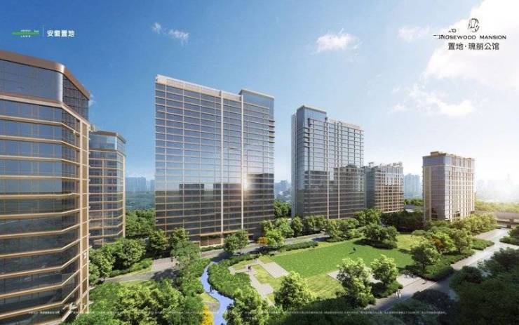 合肥置地瑰丽公馆新房周边配套-学区