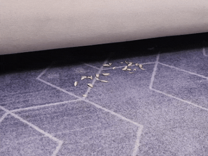 别再当冤大头！国际大牌几千上万的洗地机源头工厂只要几百元！(图22)