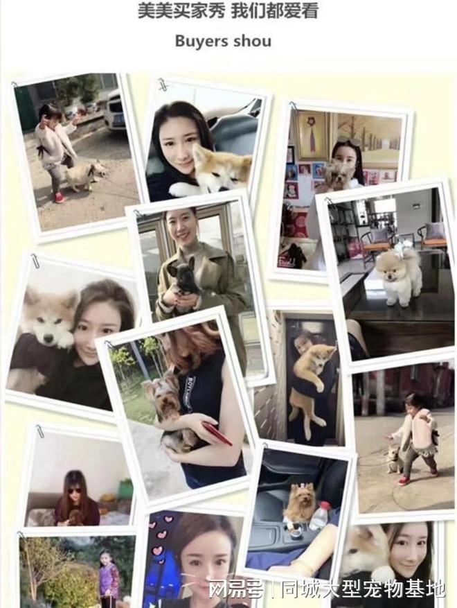 重庆宠物市场地址电话？这里安全可靠还能实地选宠物不虚此行(图3)