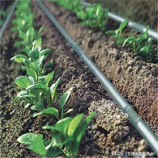 大田灌溉所需的水肥一体化设备(图2)