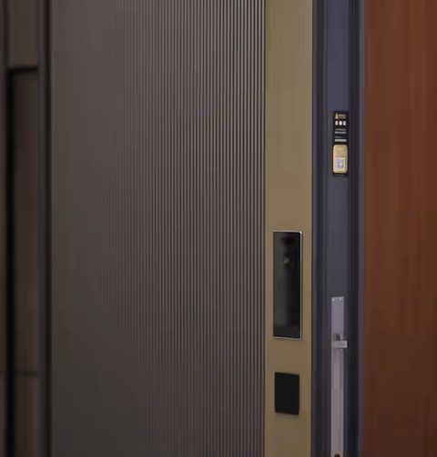 王力入户门：告别绊脚烦恼好门必选平整安防更实用(图2)