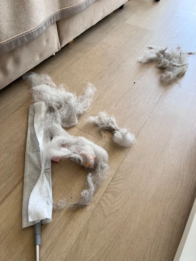 断舍离后我发现：这些家居产物给中国家庭带来了很多“麻烦”！(图6)