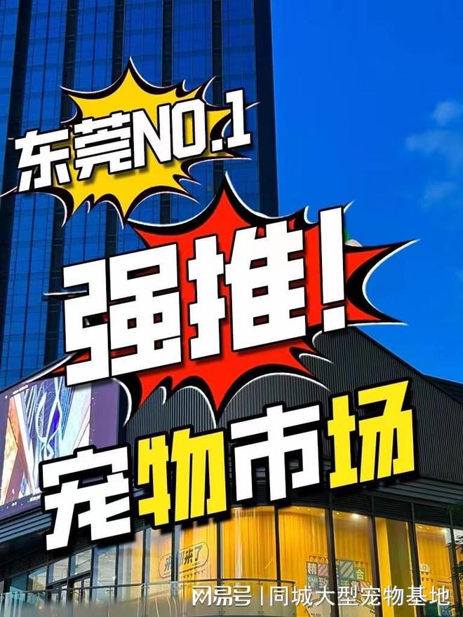 东莞哪个猫狗舍比较有名口碑比较好这家实体老店买的放心有保障(图1)